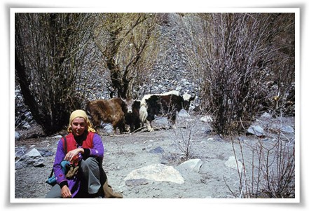 Hunza Gilgit Tour