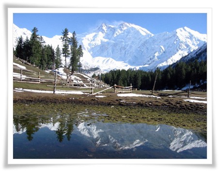 Fairy Meadows