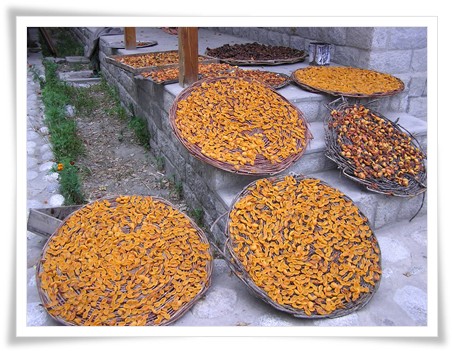 Hunza Mirshikar