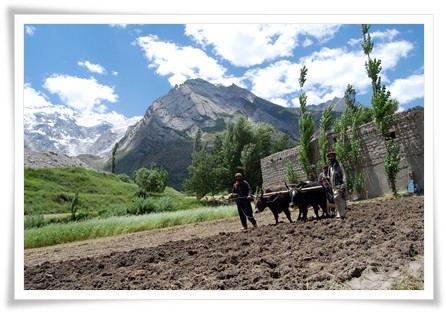 Hunza Mirshikar