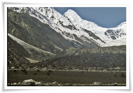 Shaigri Peak