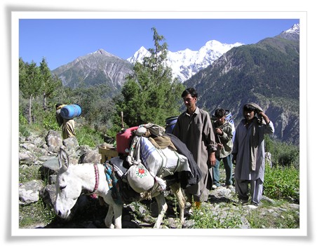 K2 Treks