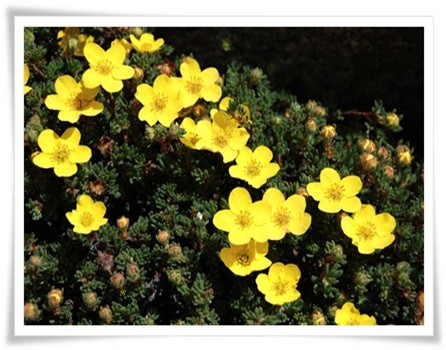 Slideshow Image 5
