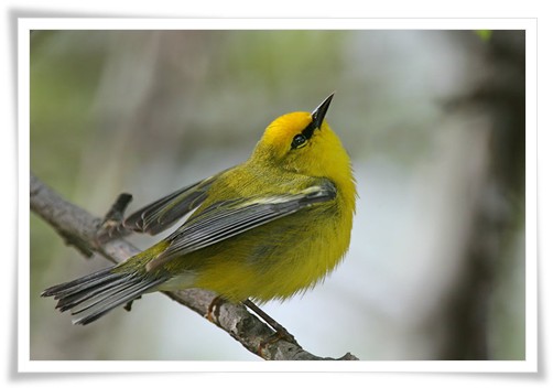 Slideshow Image 1