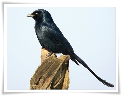 Slideshow Image 1