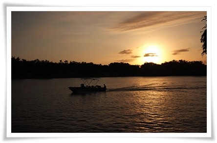 Boat Safari