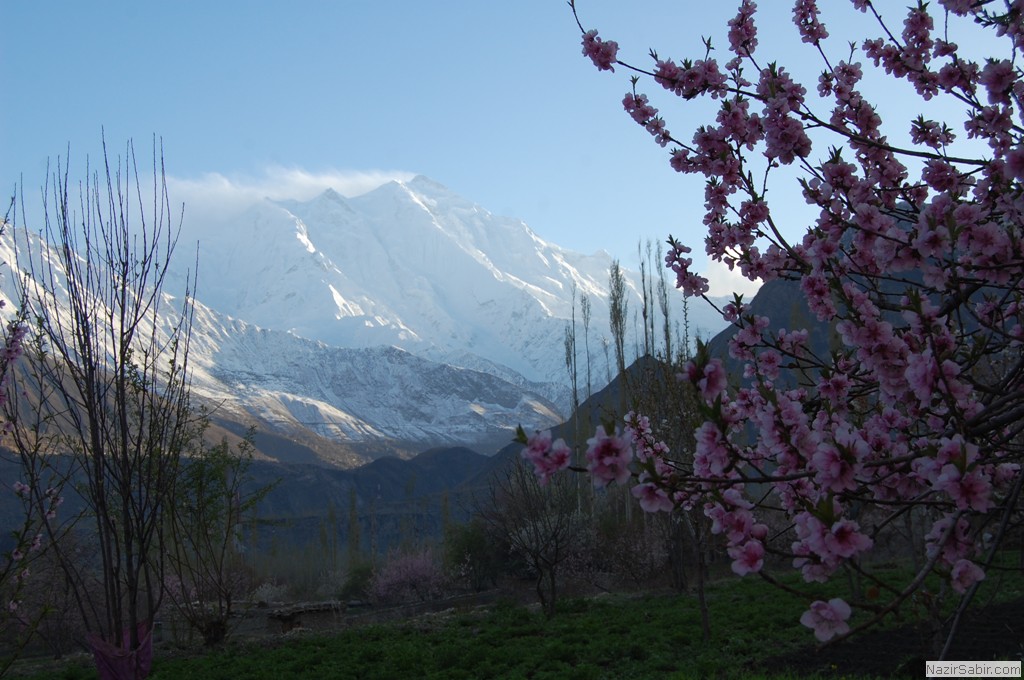 Rakaposhi dominating Hunza valley