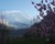 Rakaposhi dominating Hunza valley