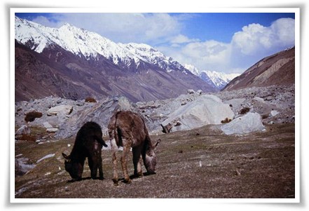 Hunza Treks
