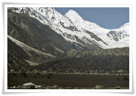 Nanga Parbat Treks